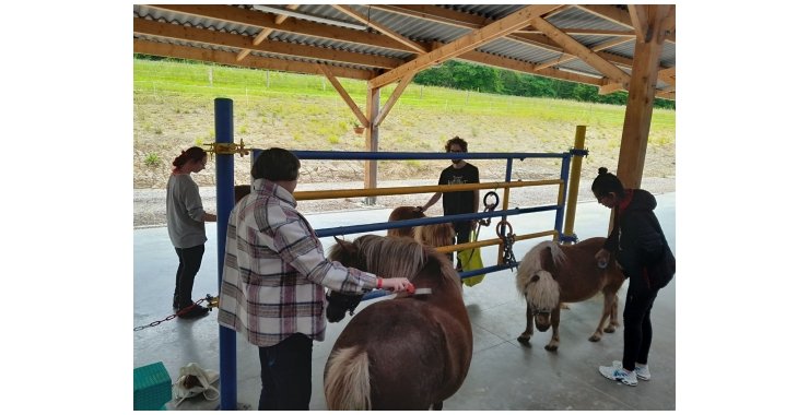 L’Apei Moselle et Le Hameau d’Olivier, Cheval et Handicap, s’engagent ensemble pour améliorer la qualité de vie des personnes en situation de handicap