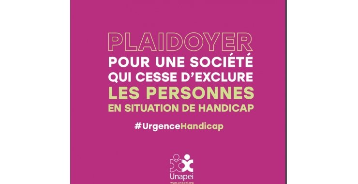 Plaidoyer Unapei pour une société qui cesse d'exclure les personnes en situation de handicap/élections législatives 2024